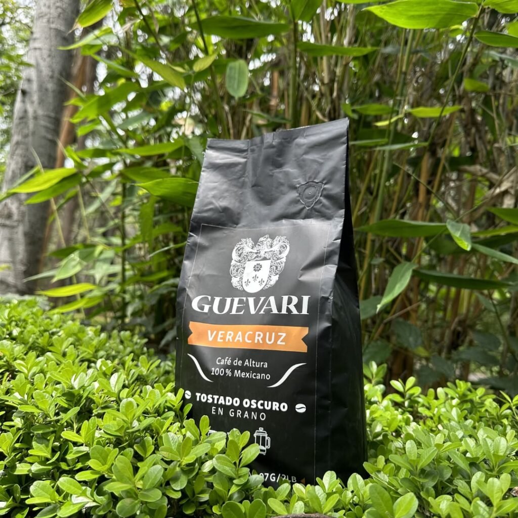 Guevari Veracruz